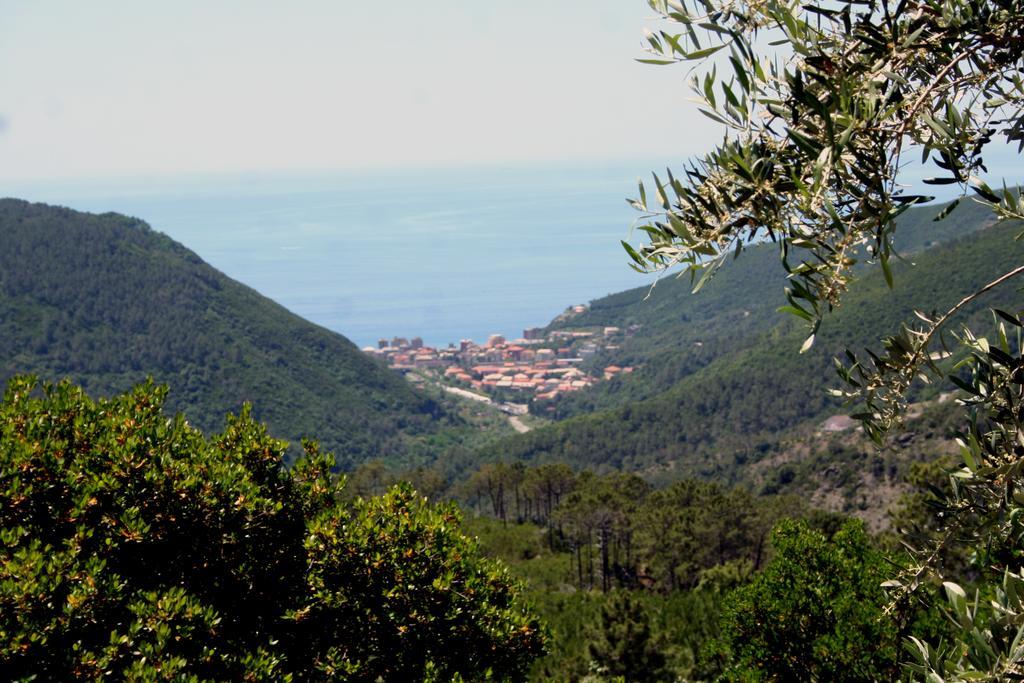 Hotel 5 Terre Nel Sole Deiva Marina Bagian luar foto