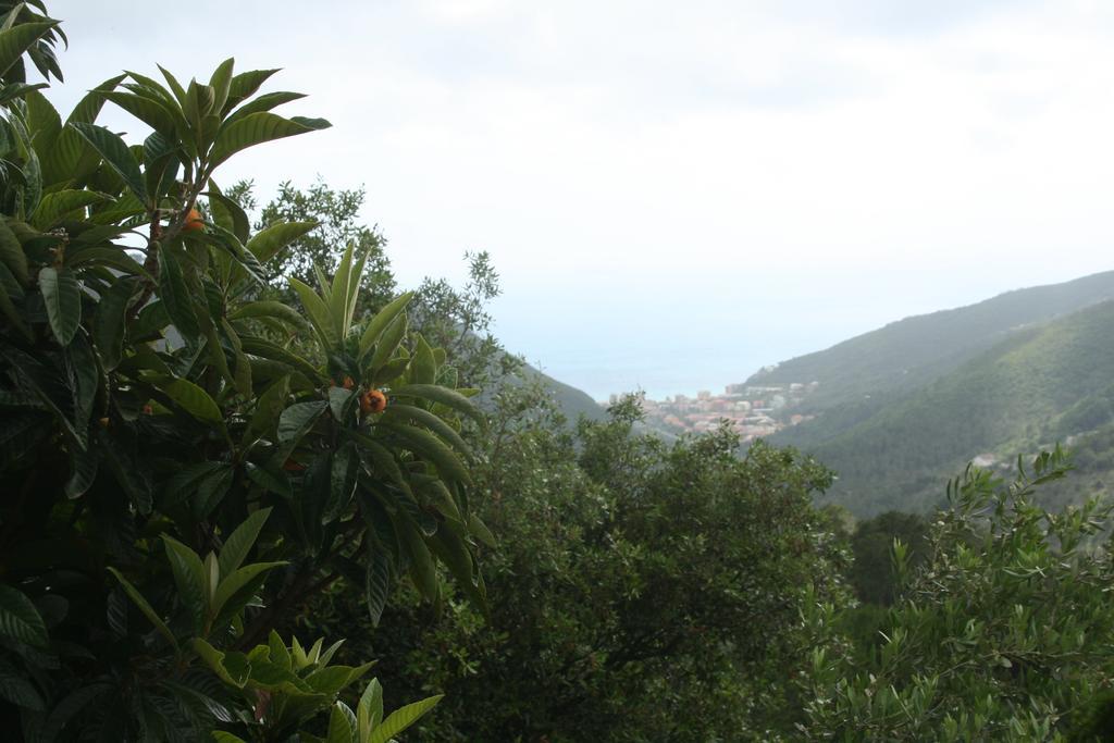 Hotel 5 Terre Nel Sole Deiva Marina Bagian luar foto