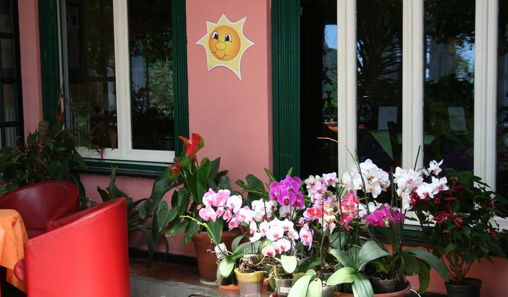 Hotel 5 Terre Nel Sole Deiva Marina Bagian luar foto